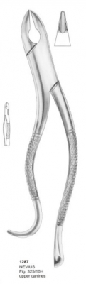  NEVIUS Fig. 325-10H upper canines 